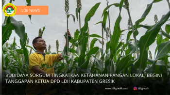 Budidaya Sorgum Tingkatkan Ketahanan Pangan Lokal, Begini Tanggapan Ketua DPD LDII Kabupaten Gresik