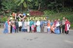 Family Gathering